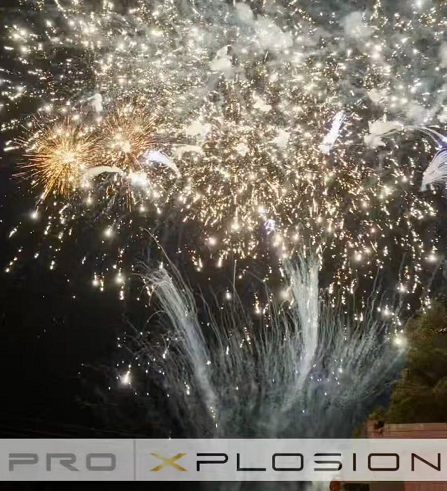 European clients visiting the factory 28